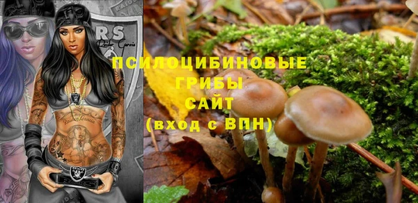 МДМА Арсеньев