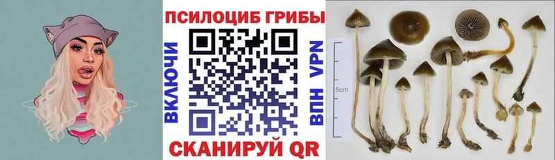 Псилоцибиновые грибы MAGIC MUSHROOMS  Лагань 